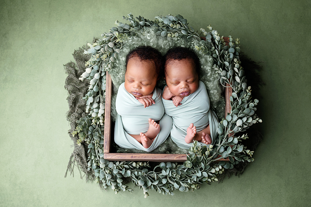 baby twins boys in basket newborn photoshoot Watford, Hertfordshire