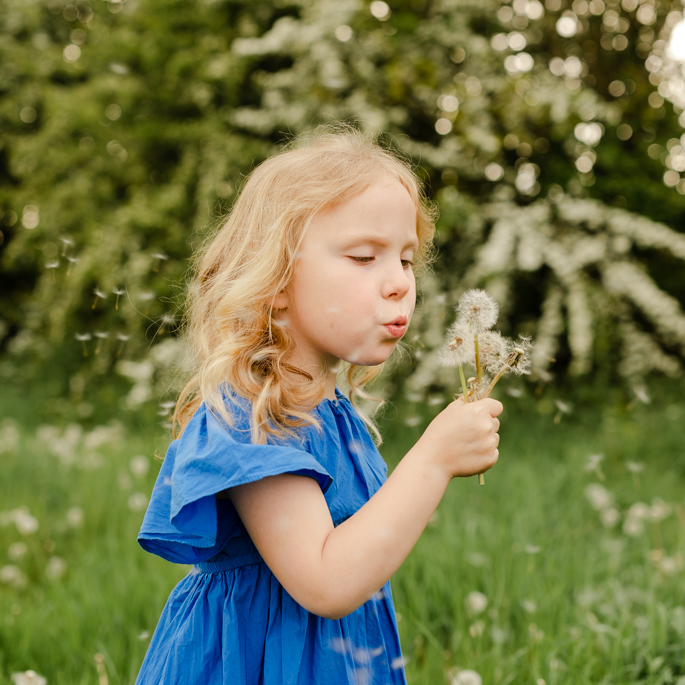 girl blowing dandelions family outdoor photography Hemel Hempstead, Hertfordshire
